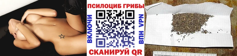 Псилоцибиновые грибы Magic Shrooms продажа наркотиков сайты даркнета клад Ярцево