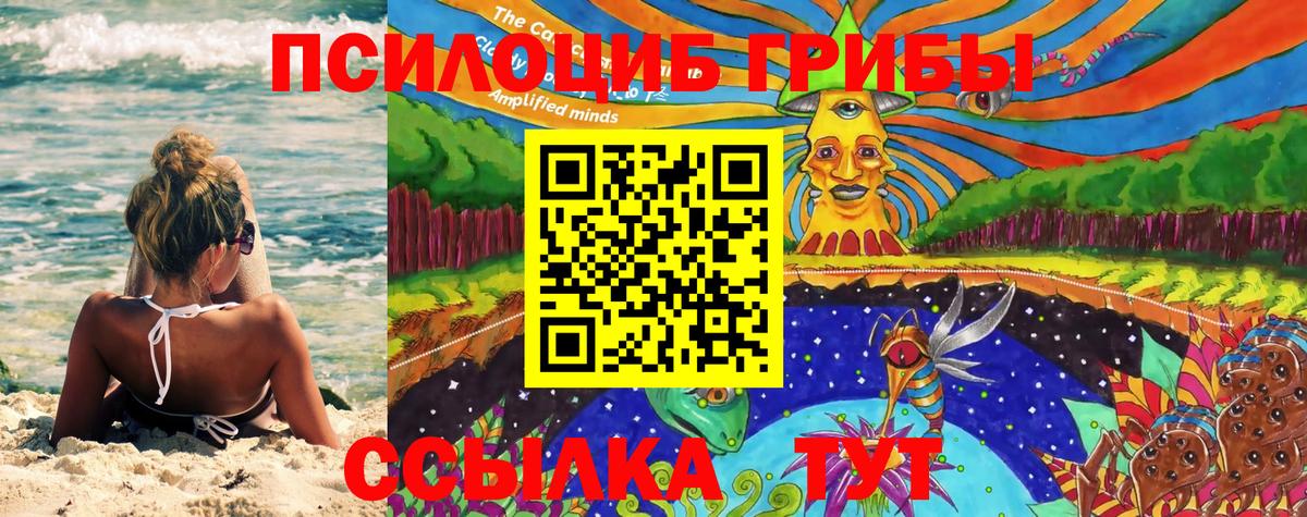 Ярцево  Псилоцибиновые грибы Psilocybe  Вход с VPN 