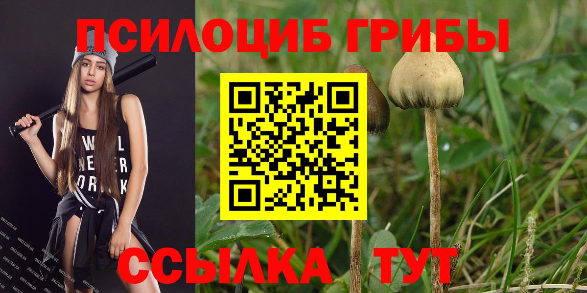 Галлюциногенные грибы прущие грибы Ярцево